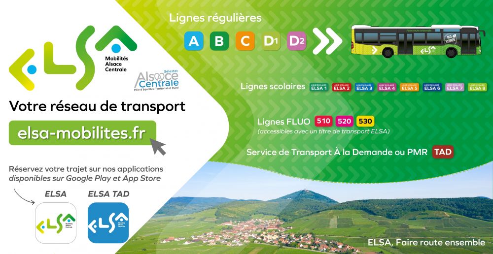 Visuel Site web ELSA Visuel Site web ELSA