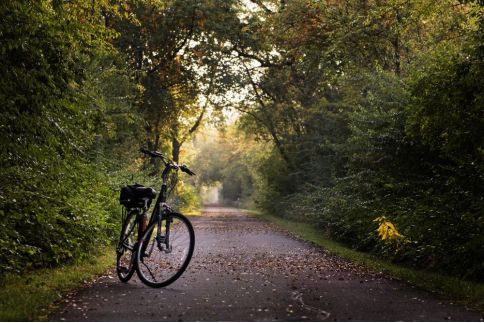 bike-2769021_1920