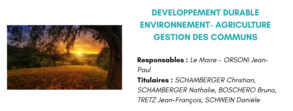 environnement